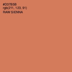 #D37B5B - Raw Sienna Color Image