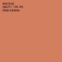 #D37E5E - Raw Sienna Color Image