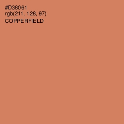 #D38061 - Copperfield Color Image
