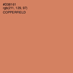 #D38161 - Copperfield Color Image