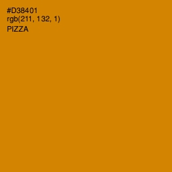 #D38401 - Pizza Color Image