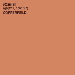 #D38461 - Copperfield Color Image