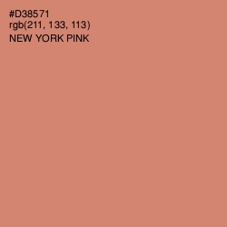 #D38571 - New York Pink Color Image