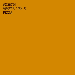 #D38701 - Pizza Color Image