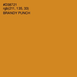 #D38721 - Brandy Punch Color Image