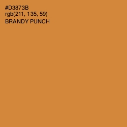 #D3873B - Brandy Punch Color Image
