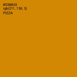 #D38803 - Pizza Color Image