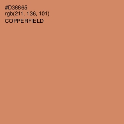 #D38865 - Copperfield Color Image