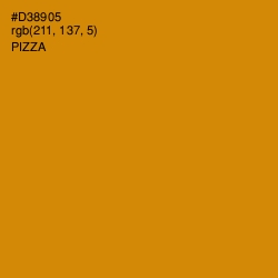 #D38905 - Pizza Color Image