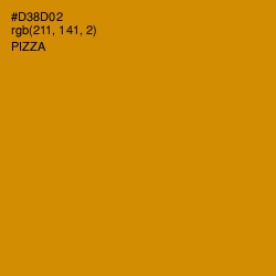 #D38D02 - Pizza Color Image