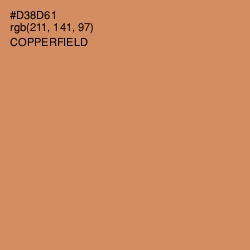 #D38D61 - Copperfield Color Image