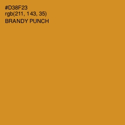 #D38F23 - Brandy Punch Color Image