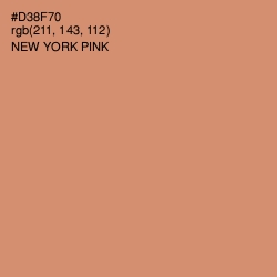 #D38F70 - New York Pink Color Image