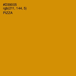 #D39005 - Pizza Color Image