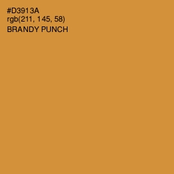 #D3913A - Brandy Punch Color Image