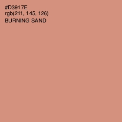 #D3917E - Burning Sand Color Image