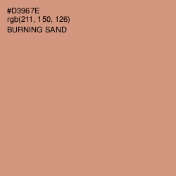 #D3967E - Burning Sand Color Image