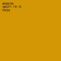 #D39705 - Pizza Color Image