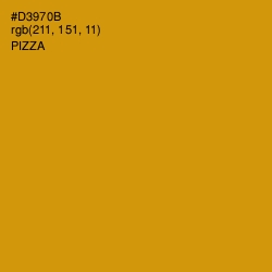 #D3970B - Pizza Color Image