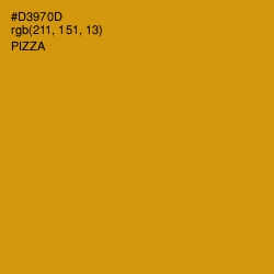 #D3970D - Pizza Color Image