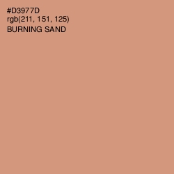 #D3977D - Burning Sand Color Image