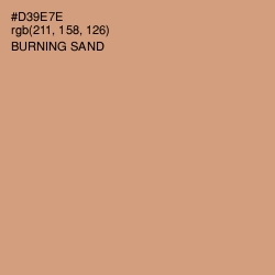 #D39E7E - Burning Sand Color Image