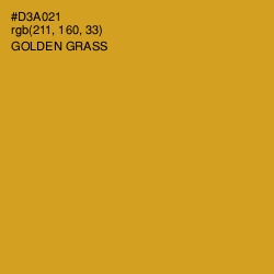 #D3A021 - Golden Grass Color Image