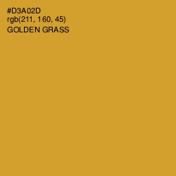 #D3A02D - Golden Grass Color Image