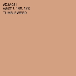 #D3A081 - Tumbleweed Color Image