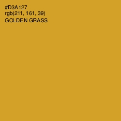 #D3A127 - Golden Grass Color Image