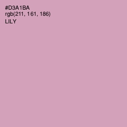 #D3A1BA - Lily Color Image