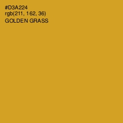 #D3A224 - Golden Grass Color Image