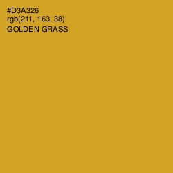 #D3A326 - Golden Grass Color Image