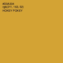 #D3A334 - Hokey Pokey Color Image