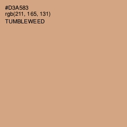 #D3A583 - Tumbleweed Color Image