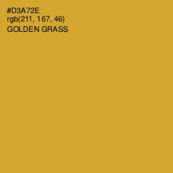 #D3A72E - Golden Grass Color Image