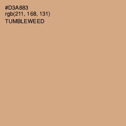 #D3A883 - Tumbleweed Color Image