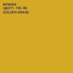 #D3A924 - Golden Grass Color Image