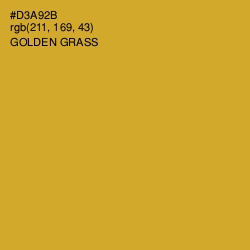 #D3A92B - Golden Grass Color Image