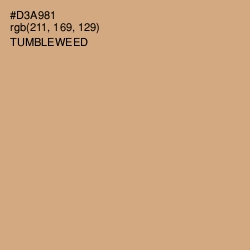#D3A981 - Tumbleweed Color Image