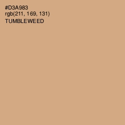 #D3A983 - Tumbleweed Color Image