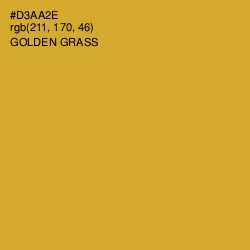 #D3AA2E - Golden Grass Color Image