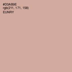 #D3AB9E - Eunry Color Image