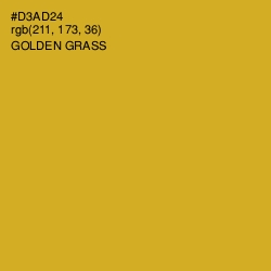 #D3AD24 - Golden Grass Color Image