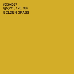 #D3AD27 - Golden Grass Color Image