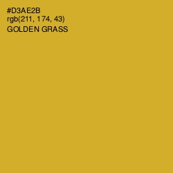 #D3AE2B - Golden Grass Color Image