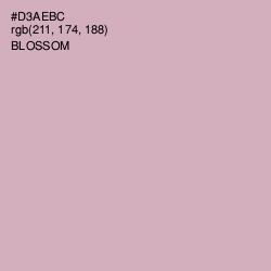 #D3AEBC - Blossom Color Image
