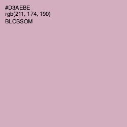 #D3AEBE - Blossom Color Image