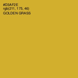 #D3AF2E - Golden Grass Color Image