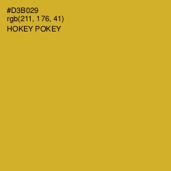 #D3B029 - Hokey Pokey Color Image